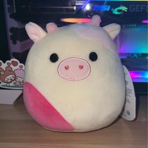 Caedyn 4.5” squishmallow